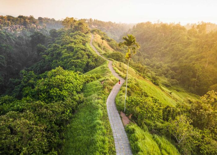 Building your own wellness to Ubud, Bali? Here we round up a few must-dos